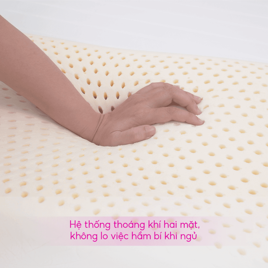 GỐI NẰM LƯỢNG SÓNG CAO SU THIÊN NHIÊN THẮNG LỢI - Ảnh 5