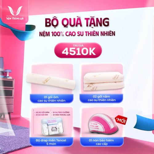 Alternative view of NỆM 100% CAO SU THIÊN NHIÊN THẮNG LỢI SISI – ADVANCED