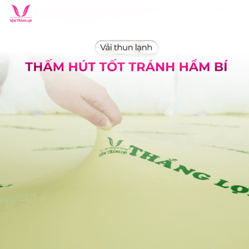 nemthangloichinhhang.vn cao su non ao nem thun lanh