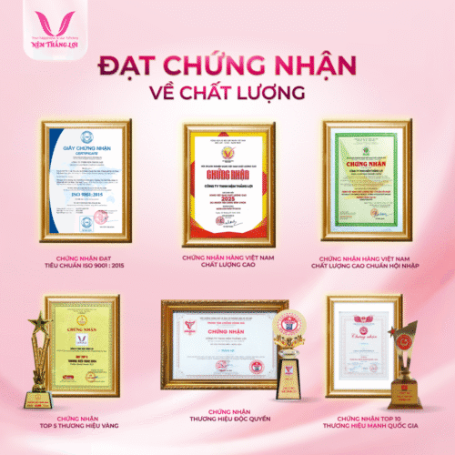 nemthangloichinhhang.vn chat luong cao 1