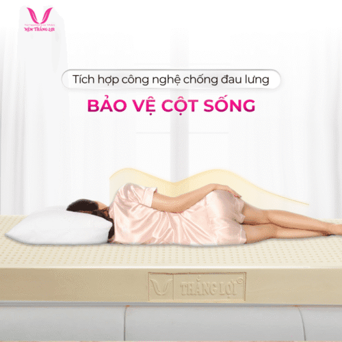 nemthangloichinhhang.vn cstn sisi advanced nang do cot song