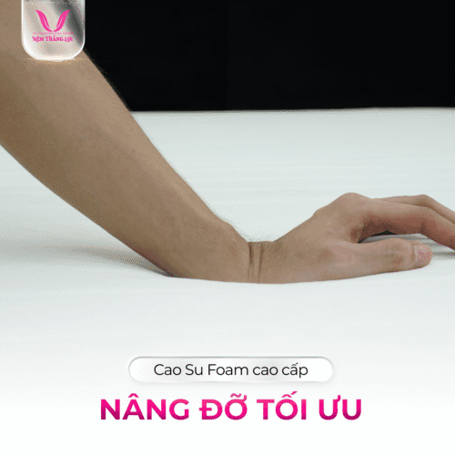 nemthangloichinhhang.vn foam cao cap thang loi dan hoi em ai