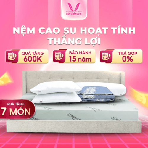NỆM CAO SU HOẠT TÍNH THẮNG LỢI