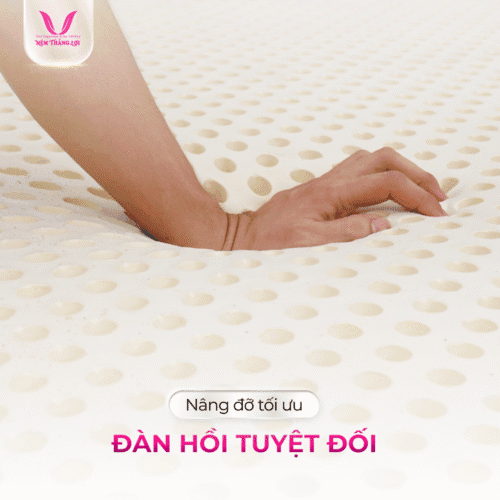 nemthangloichinhhang.vn titti double function dan hoi tuyet doi