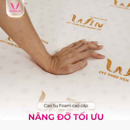 nemthangloichinhhang.vn win foam thang loi dan hoi tot