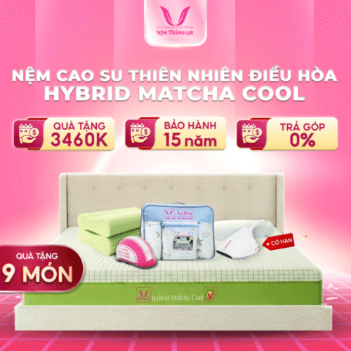 NỆM CAO SU THIÊN NHIÊN ĐIỀU HÒA HYBRID MATCHA COOL THẮNG LỢI