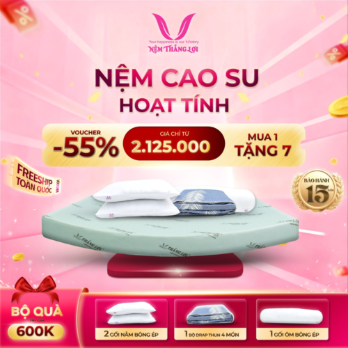 NỆM CAO SU HOẠT TÍNH THẮNG LỢI
