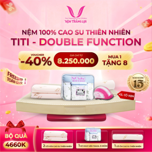 NỆM 100% CAO SU THIÊN NHIÊN THẮNG LỢI TITI – DOUBLE FUNCTION