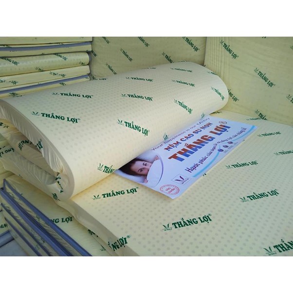 tổng kho nệm Thắng Lợi