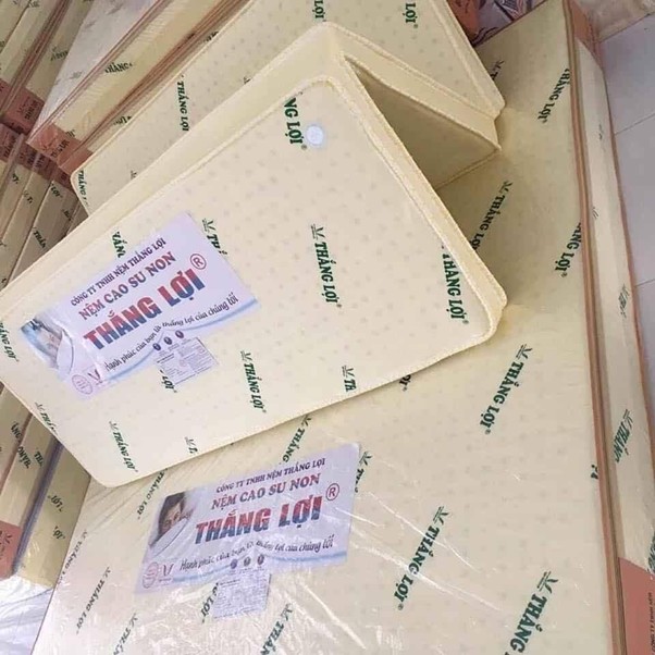 tổng kho nệm Thắng Lợi