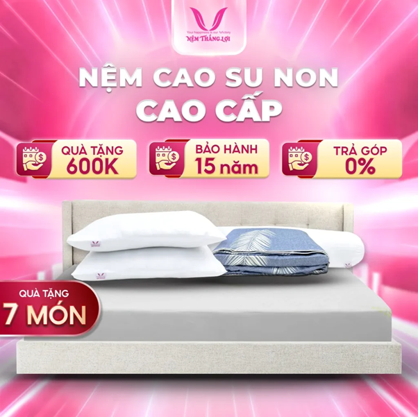 giá nệm cao su non Thắng Lợi 