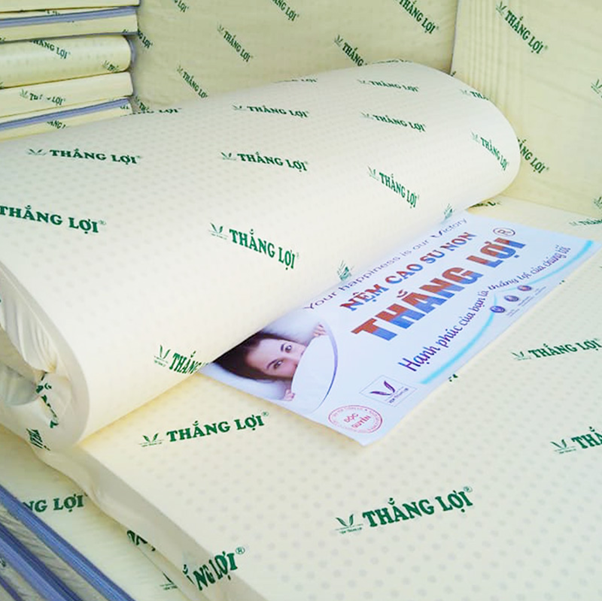  nệm cao su non Thắng Lợi 5cm