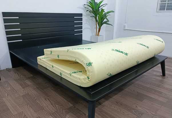 18 nem cao su non thang loi 1m2 1