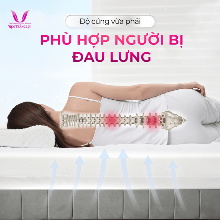 nệm Thắng Lợi chính hãng giá kho