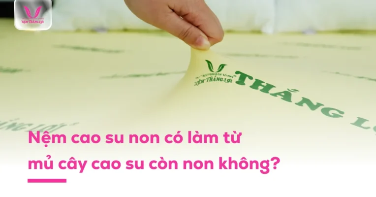 nem cao su non co lam tu mu cay caosu con non khong